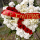 Chip Somodevilla/Getty Images